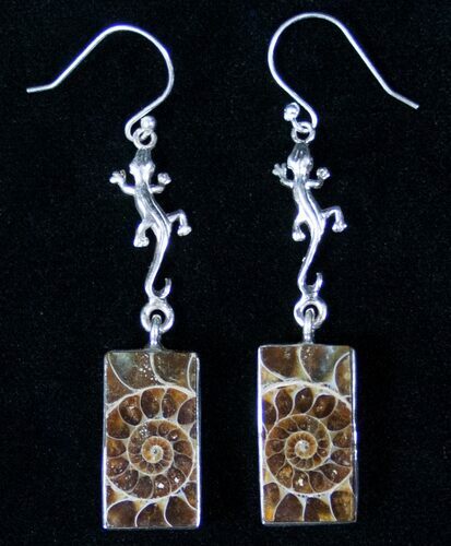 Ammonite Fossil Earrings - Sterling Silver #12778